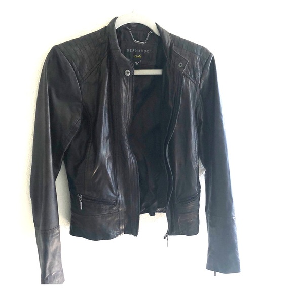 bernardo moto jacket